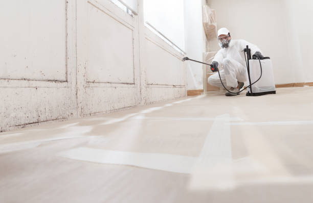 24/7 Emergency Basement Mold Remediation experts in Williamstown, PA